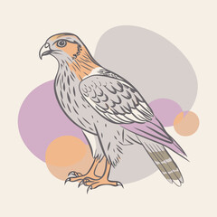 illustration of a bird on a branch