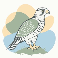 illustration of a bird