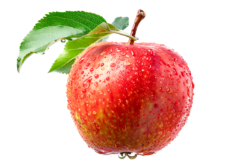 A fresh red apple with dew drops and leaves isolated on white background