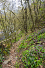 Landscape near Uberstieg, National park Thayatal , Lower Austria, Austria