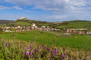 Falkenstein ruins and town with vineyard, Lower Austria, Austria