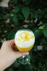 yogurt with mango topping ,  natural yogurt with mango
