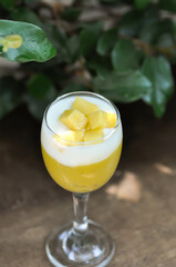 yogurt with mango topping ,  natural yogurt with mango
