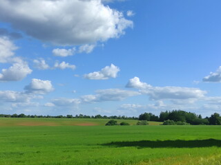 Obraz premium Beautiful European farming landscape with blue sky and green field at Sunny Summer day