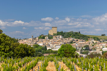 Typical vineyard with stones near Chateauneuf-du-Pape, Cotes du Rhone, France