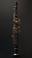 Elegant Oboe Music. Classic Instrumentation Concept