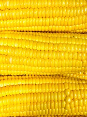 Bright Yellow Corn Kernels