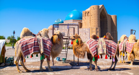 Bactrian camels against the background of the Mausoleum of Khoja Ahmed Yasawi in Turkestan. A...
