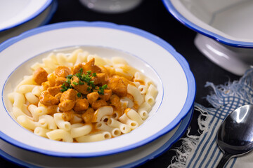 Traditional czech dish, chicken with paprika creamy sauce with pasta - typical for czech or middle europe.