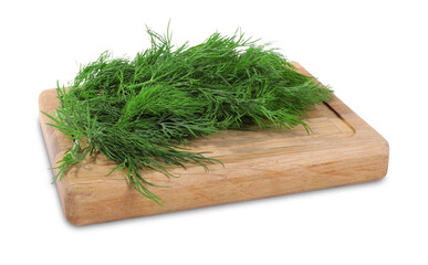 Sprigs of fresh green dill isolated on white