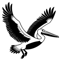 Australian pelican is flying with two leg silhouette vector style