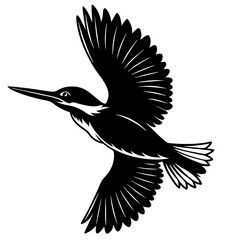 Fototapeta premium Azure kingfisher is flying with two leg silhouette vector style
