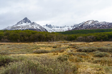 Fototapeta premium A valley with a background green forest and snow-capped Andes mountains on the way to Emerald Lake, Ushuaia - Argentina, Tierra del fuego