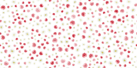 Red poppy flower, white chamomile, daisy seamless pattern background. watercolor illustrations. Field wild flower design for background or fabric and wallpaper, summer print design