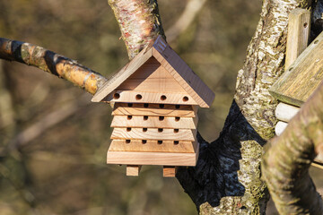 Wooden bee hotel or house peaked roof with empty nesting tunnels on garden tree