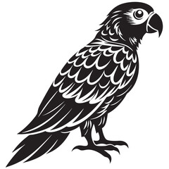 illustration of a bird