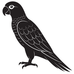 illustration of a bird