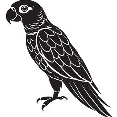 illustration of an owl