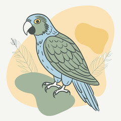 parrot on a branch