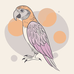 cartoon parrot