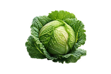 Obraz premium I Love Cabbage (PNG 10800x7200)