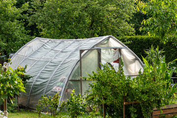 landscape with film greenhouse, gardener's concept, small garden