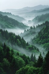 A serene misty green landscape presenting layered hills covered in dense forest under a soft sky,...