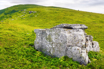 alpine landscape of carpathian mountains in summer. stones and boulders on the grassy hill. green...
