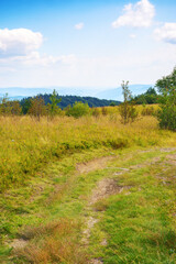trail path through alpine meadow. carpathian mountain landscape of ukraine in summer. distant forested hills on a sunny day. outdoor adventures in summer