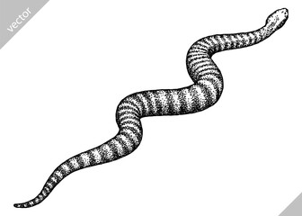 Naklejka premium Vintage engraving isolated snake set illustration serpent ink sketch. Reptile asp background viper silhouette cobra art. Black and white hand drawn vector image