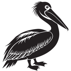 illustration of a pelican