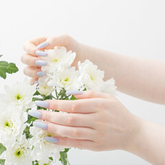 female hands with beautiful manicure and chrysanthemum flowers