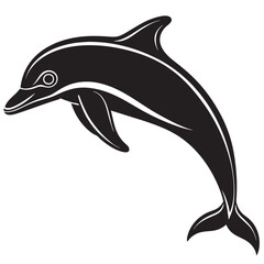 dolphin isolated on white background