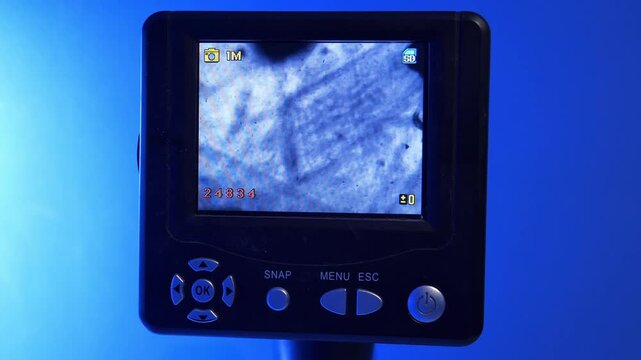 Small marine organisms, zooplankton and phytoplankton. Plankton on display under microscope. Artemia - live nutrition for jellyfish. Plankton forms foundation of jellyfishes diet