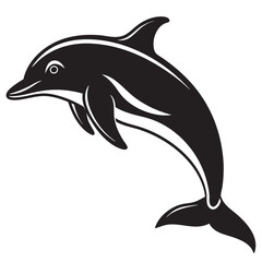 dolphin isolated on white