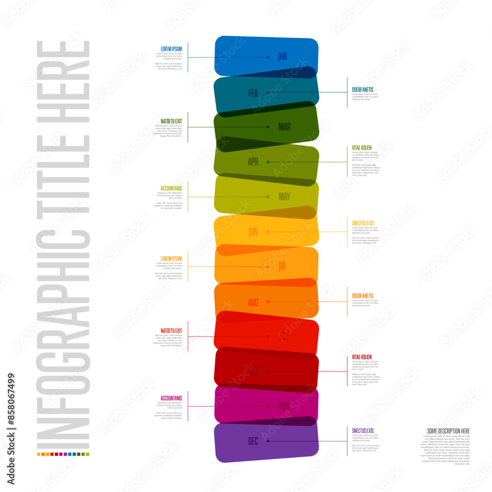 Poster full year vertical rainbow color time line template made from rectangles