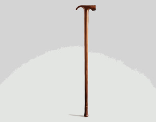 Elegant wooden walking stick, cane