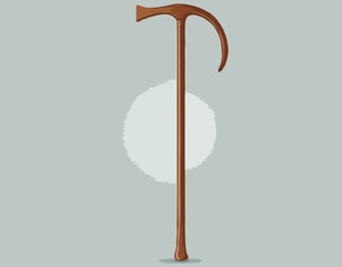 Elegant wooden walking stick, cane
