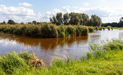 Landscape in the countryside on a sunny September day.