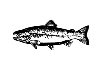 Salmon fish silhouette - cut out vector icon  Vector illustration.