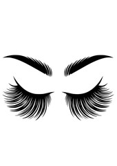 Eyelashes SVG, Brows SVG, Cute girls eyes SVG, Girl SVG, Makeup SVG, Beautiful SVG, Look SVG, Eyelashes, Eyelashes Vector, Eyelashes Clipart, Cut file for Cricut SVG, JPG, PNG