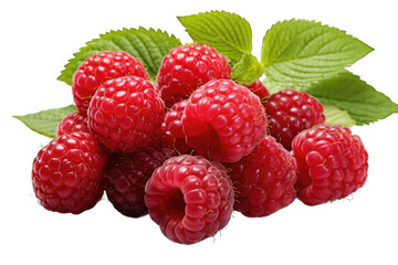 Red respberry with leaves fresh fruit transparent background cutout PNG