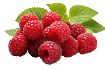 Red respberry with leaves fresh fruit transparent background cutout PNG