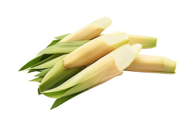 Farm Fresh Bamboo Shoots on Transparent Background