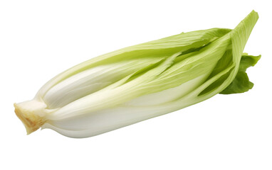 Fresh Green Endive Isolated on Transparent Background
