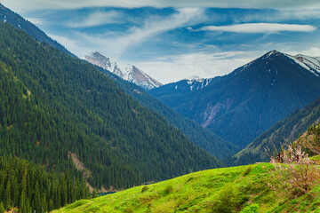 Fototapeta premium View of the Ile Alatau mountains in the national natural park on a bright sunny day.