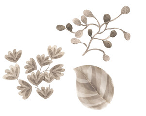 Dry Leaf Element Watercolor Leaves Set in Rustic Style, wallpaper Leaf Element,decor art piece, leaf branches bouquets collection, for wedding stationary, greetings, wallpapers, fashion, background
