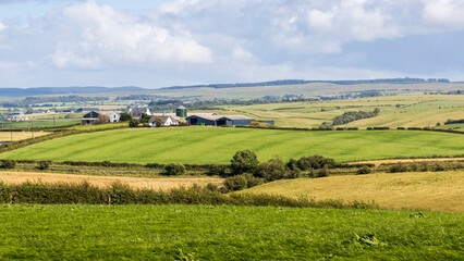 Scenic South Ayrshire Countryside Pasture, Farm and Forestry