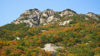 view from the top of the mountain