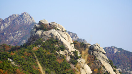 view from the top of the mountain